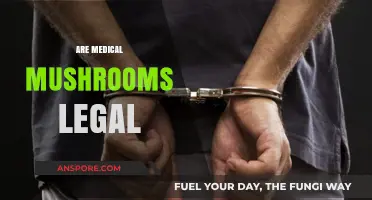 Are Medical Mushrooms Legal? Exploring the Legal Landscape of Fungal Medicine