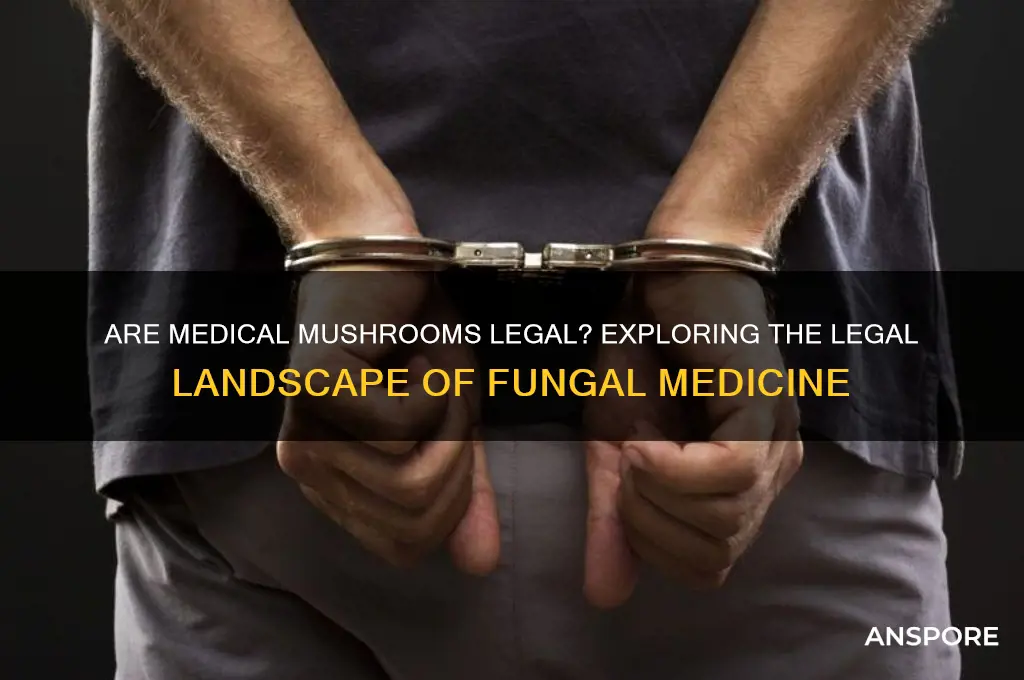 are medical mushrooms legal