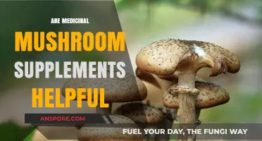 Medicinal Mushrooms: Nature's Superfood Supplements?