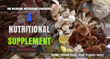 Medicinal Mushrooms: Nutritional Supplement or Functional Food?
