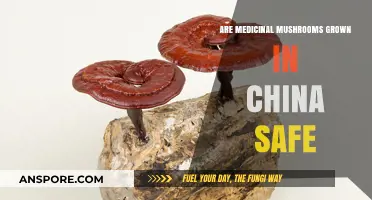 Are Chinese-Grown Medicinal Mushrooms Safe for Consumption?