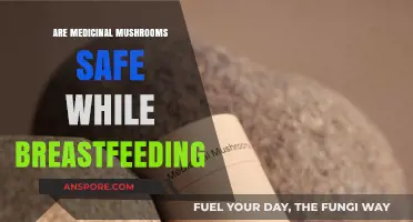 Medicinal Mushrooms and Breastfeeding: Safety, Benefits, and Risks Explained