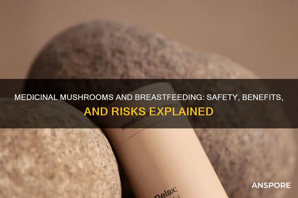 are medicinal mushrooms safe while breastfeeding