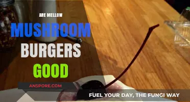 Are Mellow Mushroom Burgers Worth the Hype? A Tasty Review