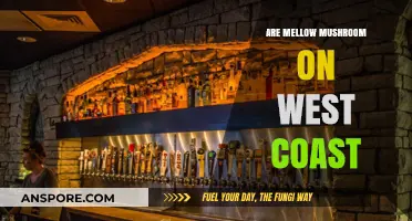 Exploring Mellow Mushroom's Presence on the West Coast: Locations and Menu