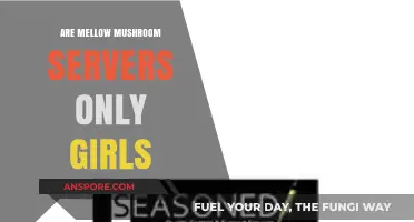 Are Mellow Mushroom Servers Exclusively Female? Exploring the Staffing Trend