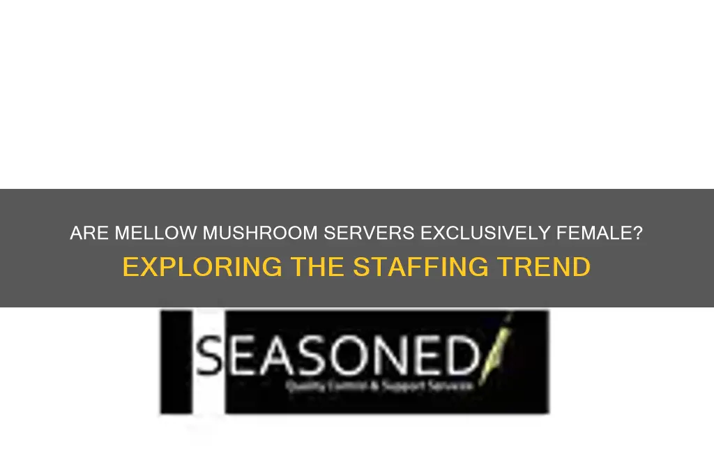 are mellow mushroom servers only girls