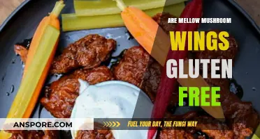Are Mellow Mushroom Wings Gluten-Free? A Tasty Inquiry