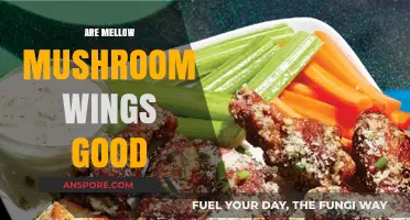 Are Mellow Mushroom Wings Worth the Hype? A Tasty Review
