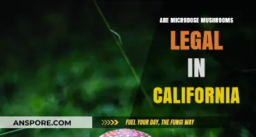 Microdosing Mushrooms in California: Legal Status and What You Need to Know