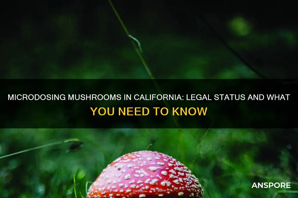 are microdose mushrooms legal in california