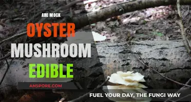 Are Mock Oyster Mushrooms Edible? A Safe Foraging Guide