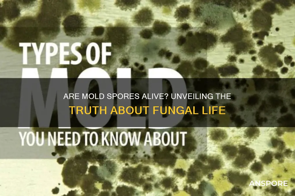 are mold spores alive