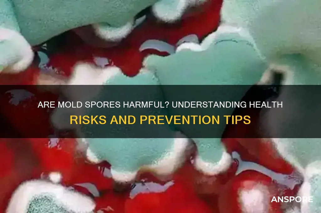 are mold spores bad for you