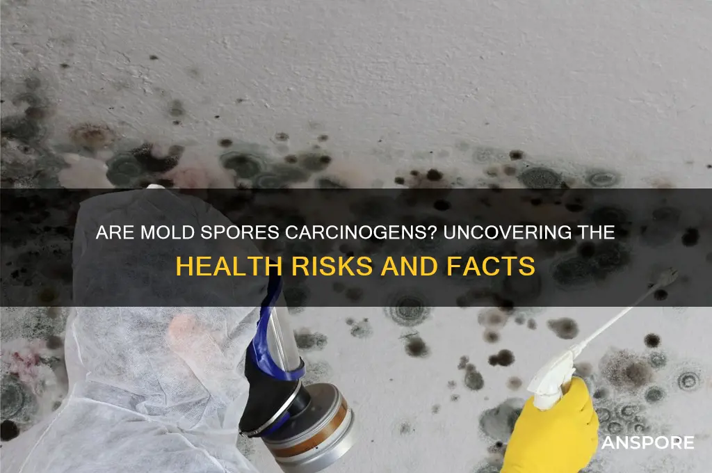 are mold spores carcinogens
