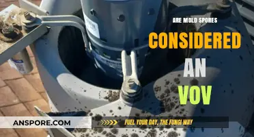 Are Mold Spores Classified as VOCs? Unraveling Indoor Air Quality Concerns