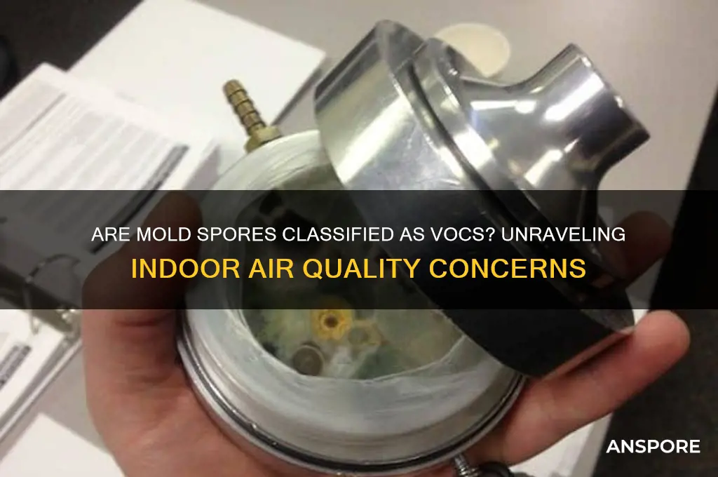 are mold spores considered an vov