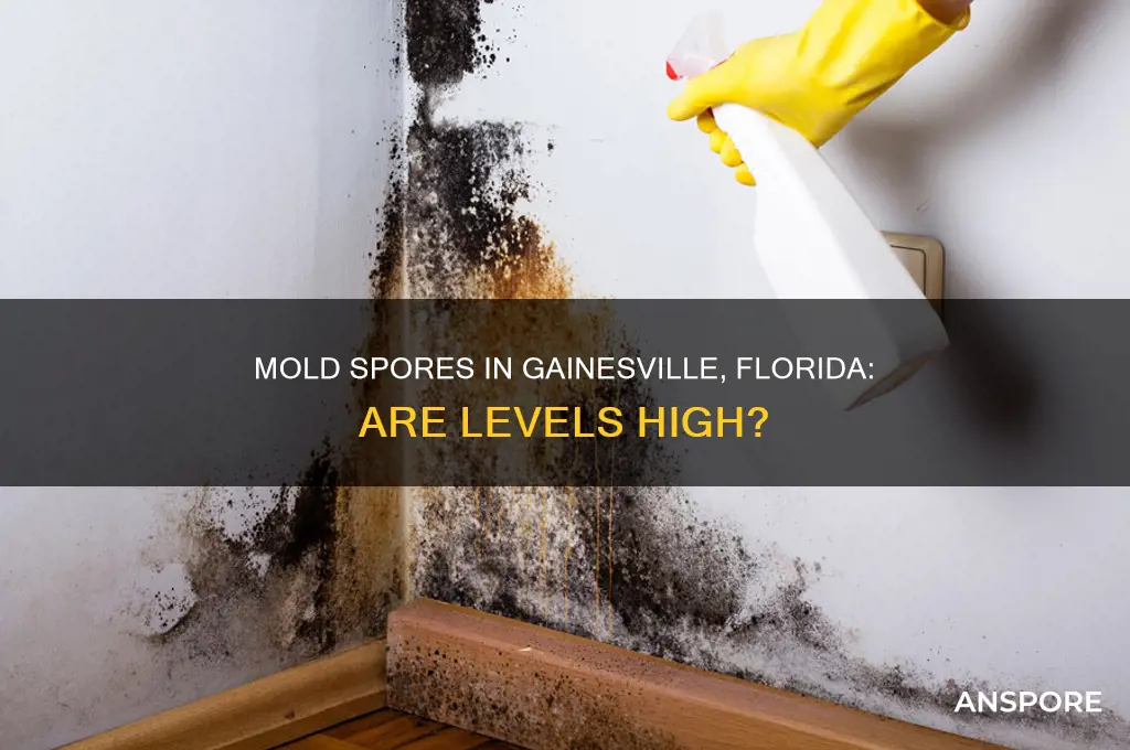 are mold spores high in gainesville florida
