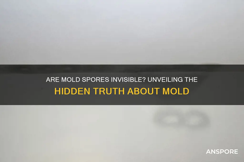 are mold spores invisible