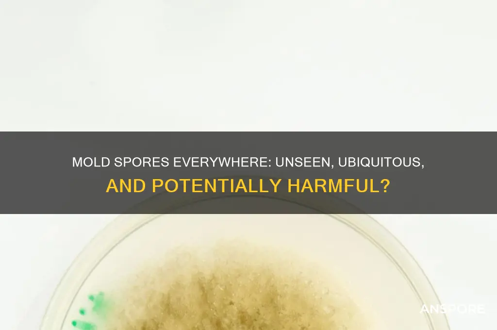 are mold spores just anywhere