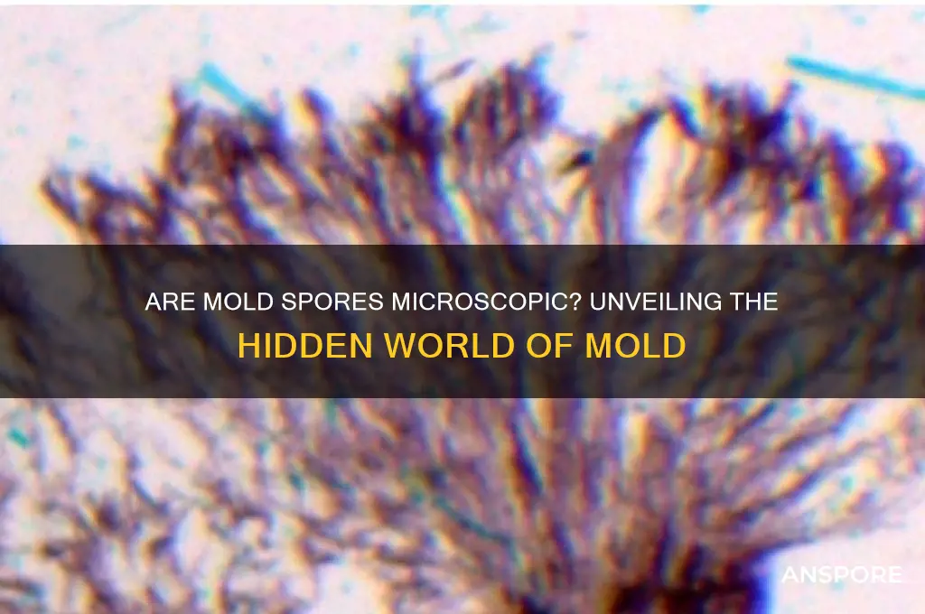 are mold spores microscopic