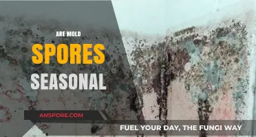 Do Mold Spores Fluctuate with Seasons? Uncovering the Truth