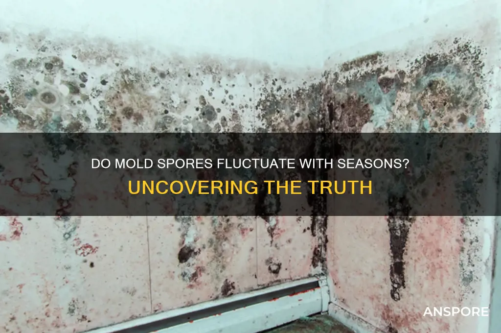 are mold spores seasonal