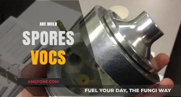 Are Mold Spores VOCs? Unraveling the Indoor Air Quality Debate