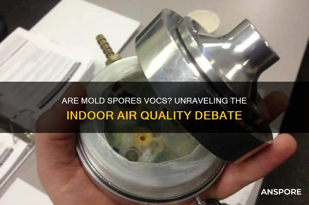 are mold spores vocs