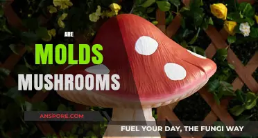 Molds and Mushrooms: What's the Difference?