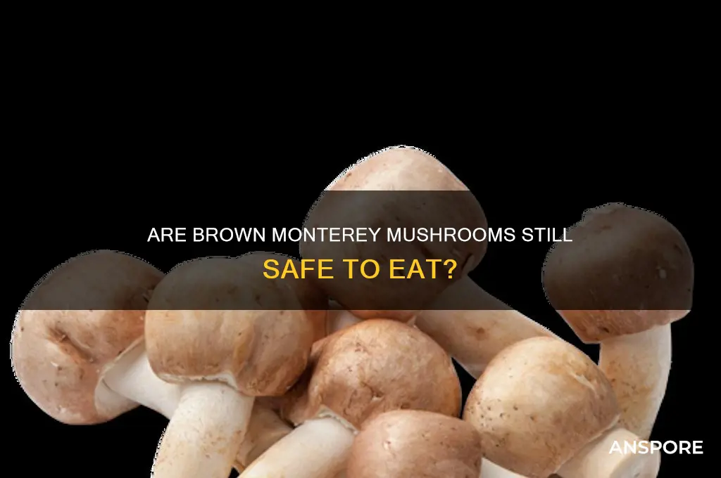 are monterey mushrooms that turn brown still edible