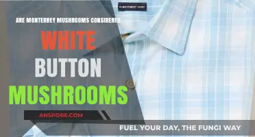 Are Monterrey Mushrooms the Same as White Button Mushrooms?