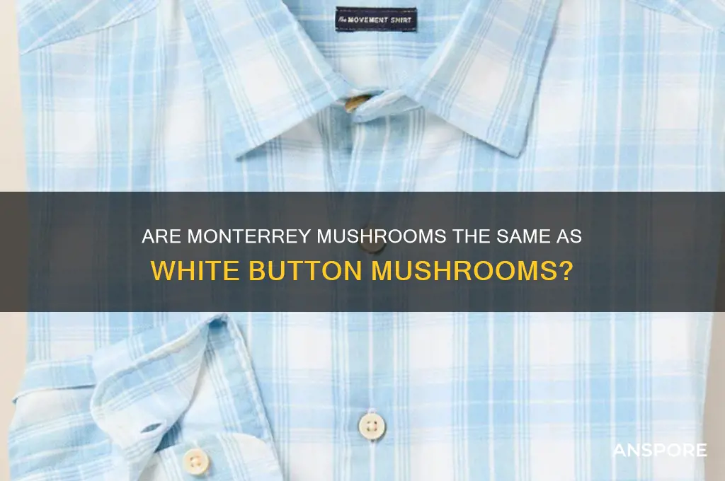 are monterrey mushrooms considered white button mushrooms