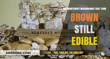Are Brown Monterrey Mushrooms Safe to Eat? Find Out Here
