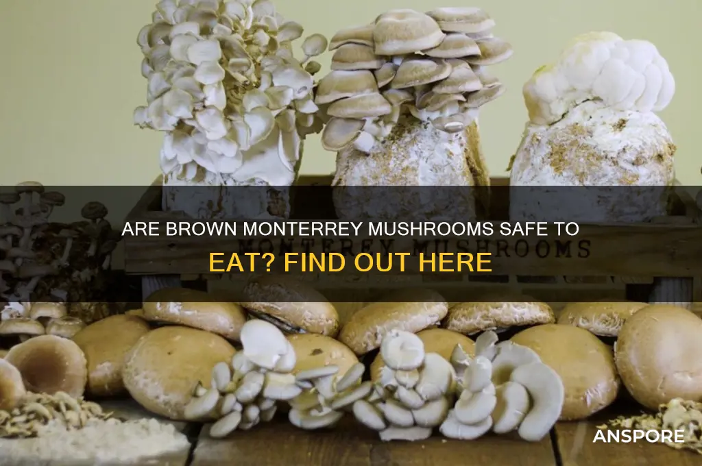 are monterrey mushrooms that turn brown still edible