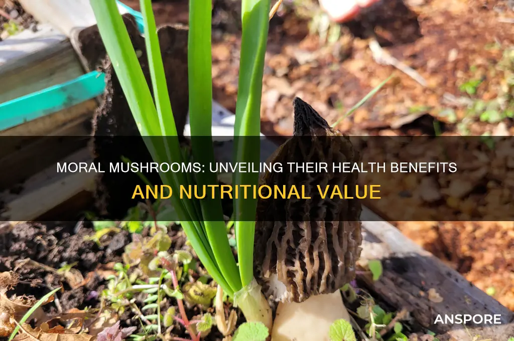 are moral mushrooms good for you