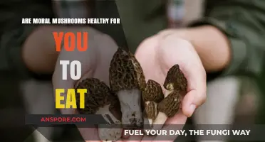 Moral Mushrooms: Unveiling Their Health Benefits and Nutritional Value