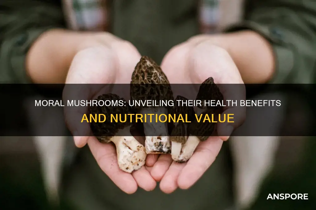 are moral mushrooms healthy for you to eat