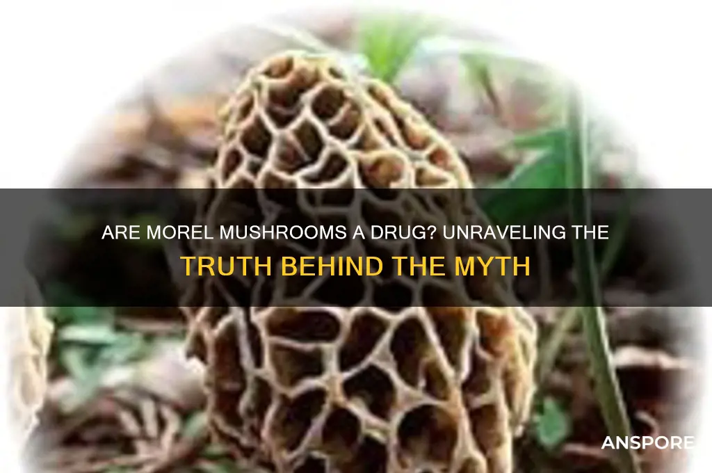 are morel mushrooms a drug