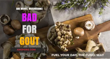 Morel Mushrooms and Gout: Are They Safe or Harmful?