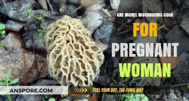 Morel Mushrooms and Pregnancy: Safe or Risky for Expecting Moms?