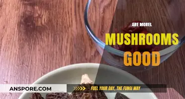 Are Morel Mushrooms Good? Unveiling Their Flavor, Nutrition, and Culinary Magic