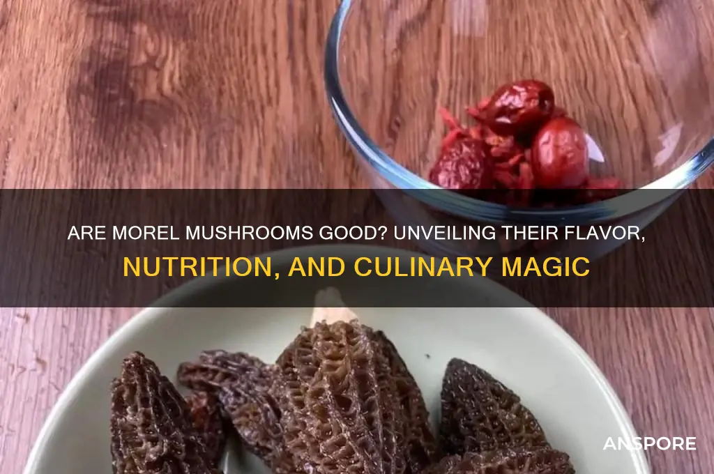 are morel mushrooms good