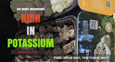 Morel Mushrooms and Potassium: Unveiling Their Nutritional Benefits