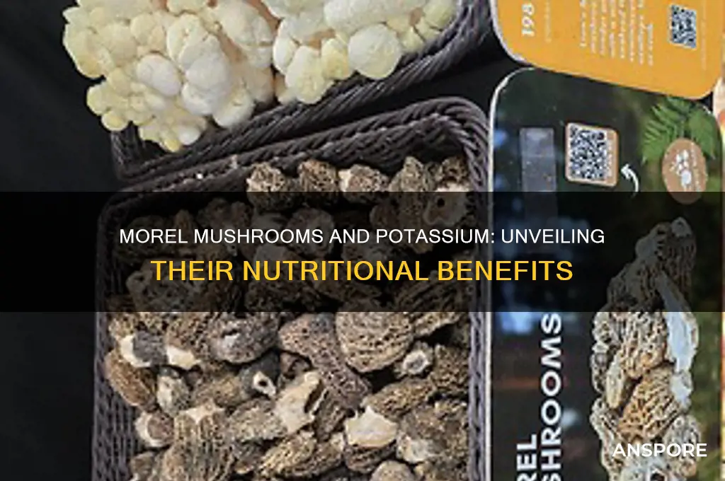 are morel mushrooms high in potassium
