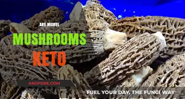 Are Morel Mushrooms Keto-Friendly? Nutrition Facts and Benefits