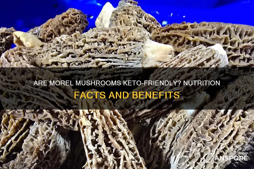 are morel mushrooms keto