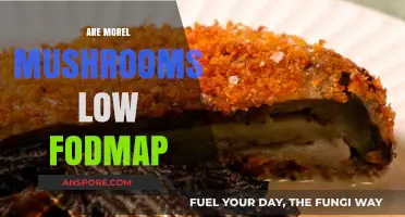 Are Morel Mushrooms Low FODMAP? A Diet-Friendly Fungus Guide