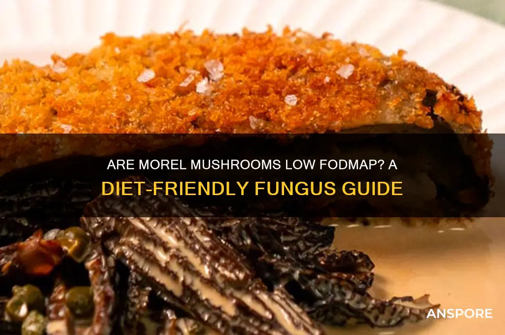 are morel mushrooms low fodmap