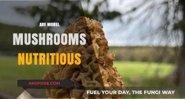 Are Morel Mushrooms Nutritious? Unveiling Their Health Benefits and Value